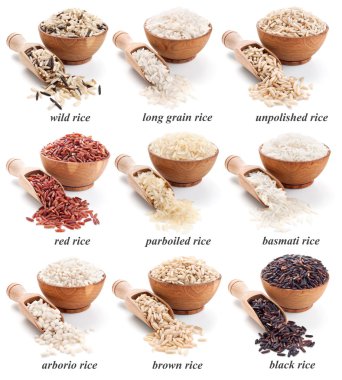 Rice collection isolated on whte clipart