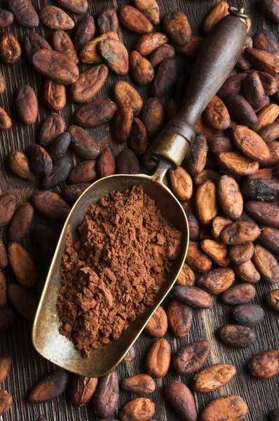 Fèves de cacao et de la pelle rétro avec la poudre de cacao — Photo