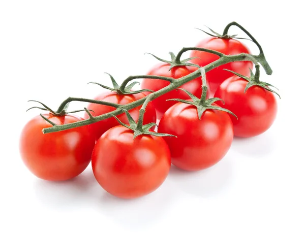 Zweig frischen Cherry-Tomaten, die isoliert auf weiss — Stockfoto