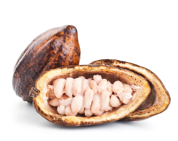 Vaina de cacao crudo y granos aislados en un blanco — Foto de Stock