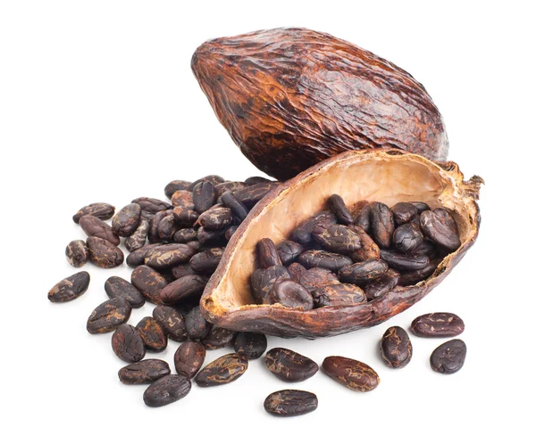 Vaina de cacao y granos aislados en un blanco — Foto de Stock