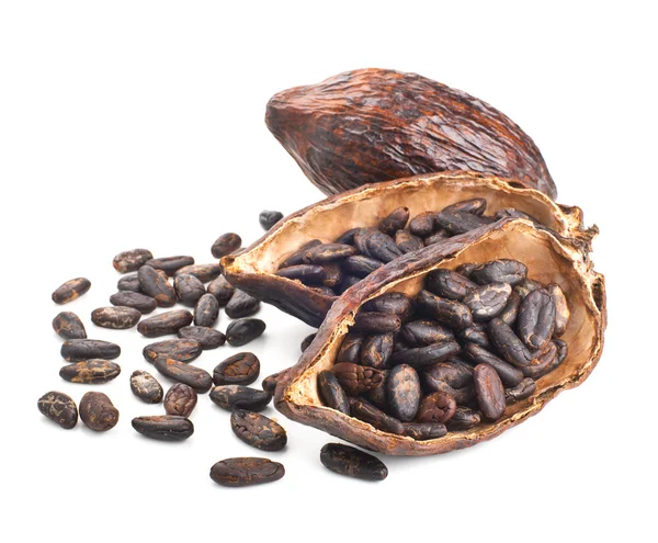 Cacao pod en geïsoleerd op een witte bonen — Stockfoto