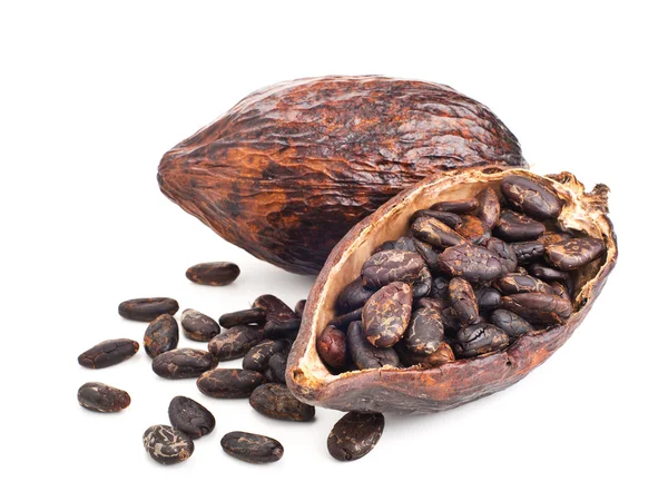 Cacao pod en geïsoleerd op een witte bonen — Stockfoto