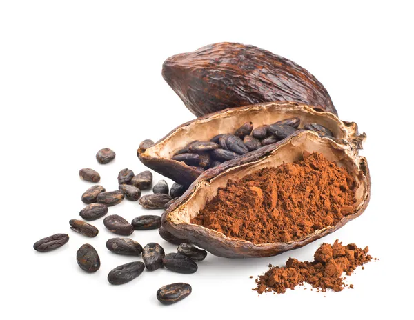 Kakao pod, bönor och pulver isolerad på en vit — Stockfoto