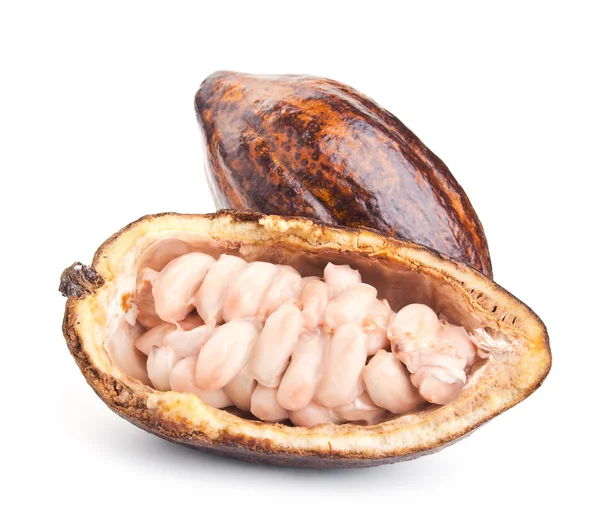 Rohe Kakaofrucht und isoliert auf einem weißen Bohnen — Stockfoto