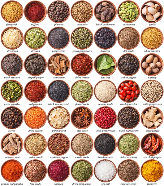 Large collection of different spices and herbs — Stock Photo, Image