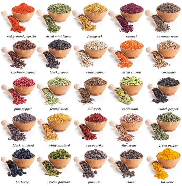 Collection of different spices and herbs — Stock Photo, Image