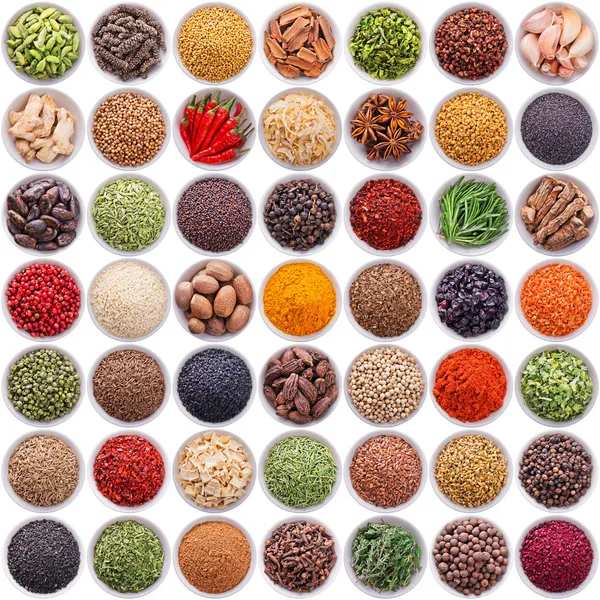 Large collection of different spices and herbs — Stock Photo, Image