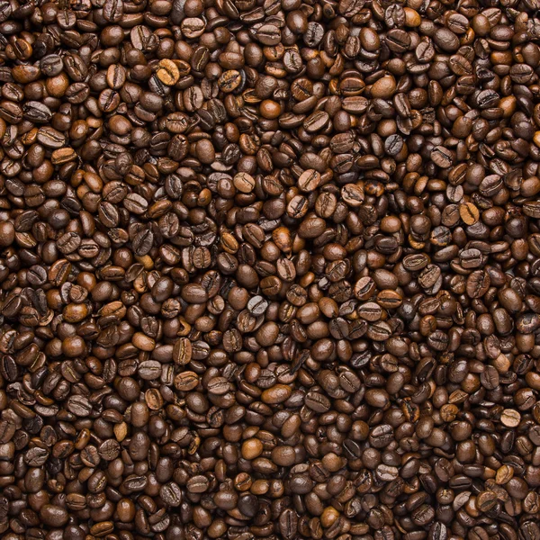 Achtergrond met koffiebonen — Stockfoto