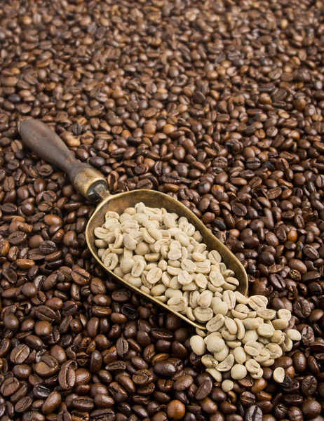 Schep met groene koffie — Stockfoto