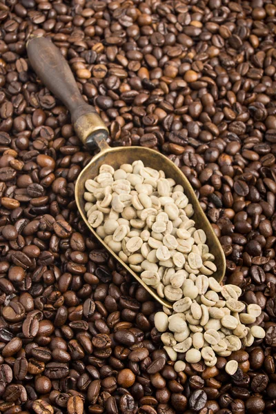 Composição com grãos de café verdes e torrados — Fotografia de Stock