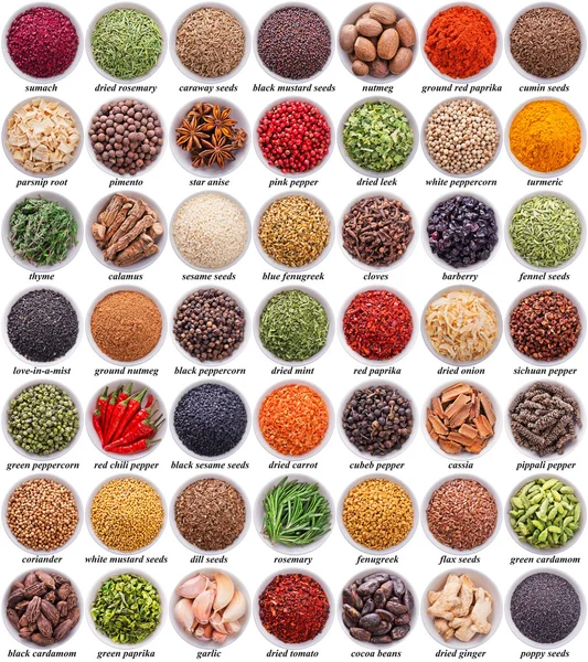 Large collection of different spices and herbs — Stock Photo, Image