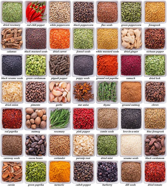 Large collection of different spices and herbs — Stock Photo, Image