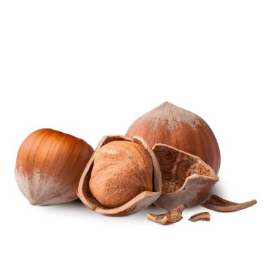 Fındıklar beyaz arka plan makrosunda izole edilmiş. Derin odaklanma