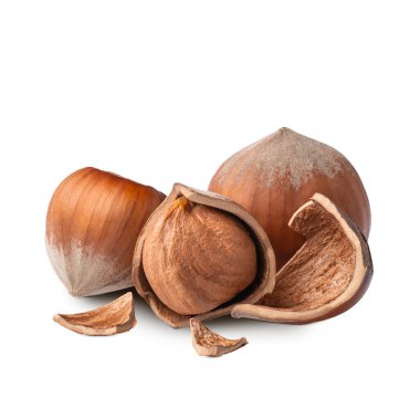 Hazelnuts isolated on white background macro. Deep focus