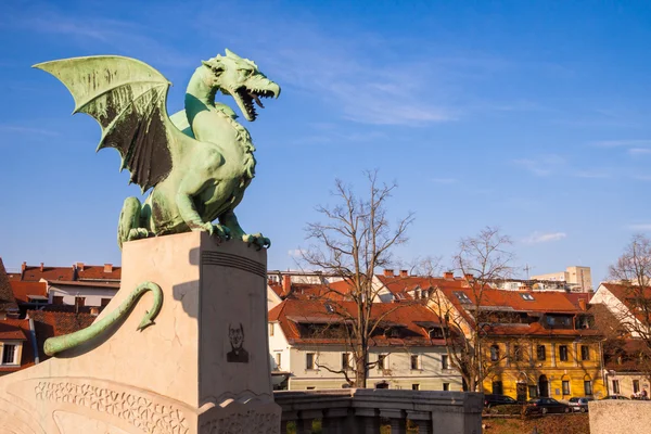 Beroemde draak brug in ljubljana — Stockfoto