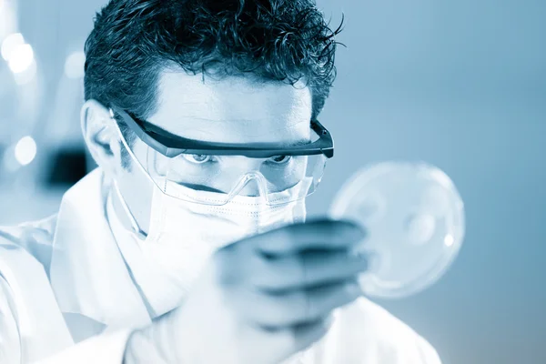 Cientista observando placa de Petri. — Fotografia de Stock