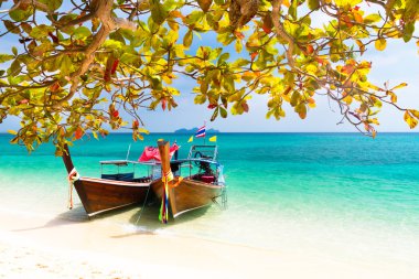 Wooden boats on a tropical beach. clipart