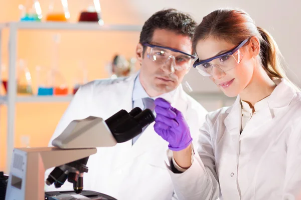 Científica y su suprvisor observan la diapositiva del microscopio en el laboratorio de salud — Foto de Stock