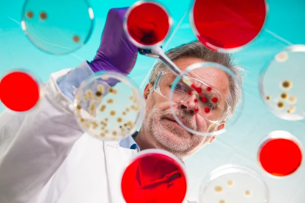 Life science — Stock Photo, Image