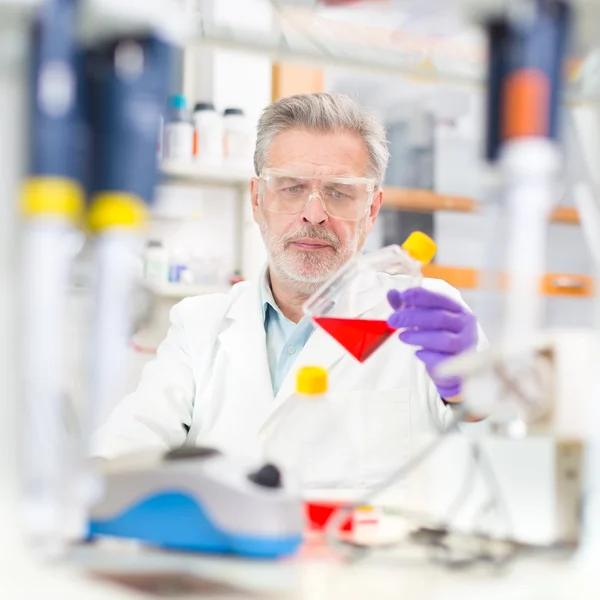 Científico de la vida investigando en el laboratorio. — Foto de Stock