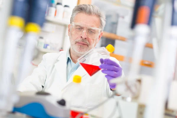 Científico de la vida investigando en el laboratorio. — Foto de Stock