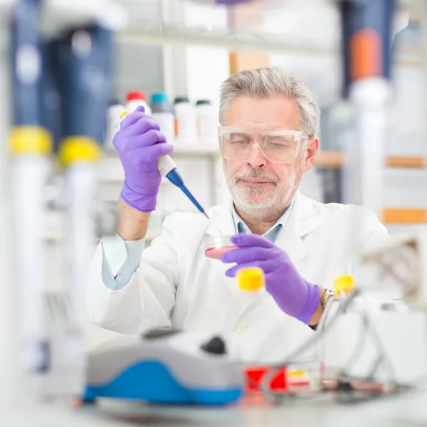 Cientista da vida pesquisando no laboratório. — Fotografia de Stock