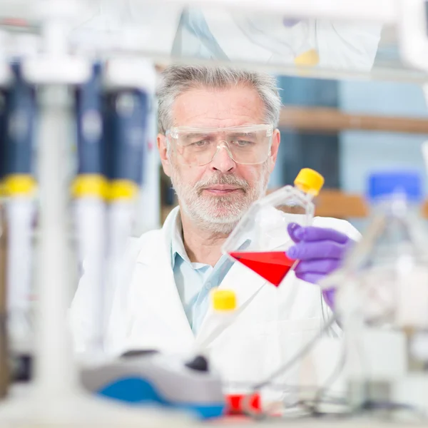 Científico de la vida investigando en el laboratorio. — Foto de Stock