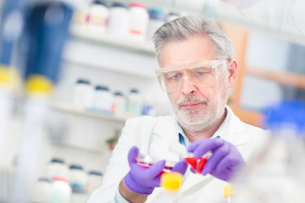 Científico de la vida investigando en el laboratorio. — Foto de Stock