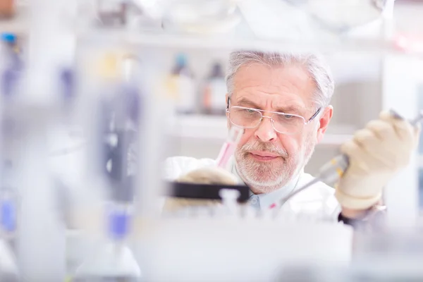 Life scientist researching in the laboratory. — Stock Photo, Image