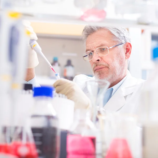 Científico de la vida investigando en el laboratorio. — Foto de Stock