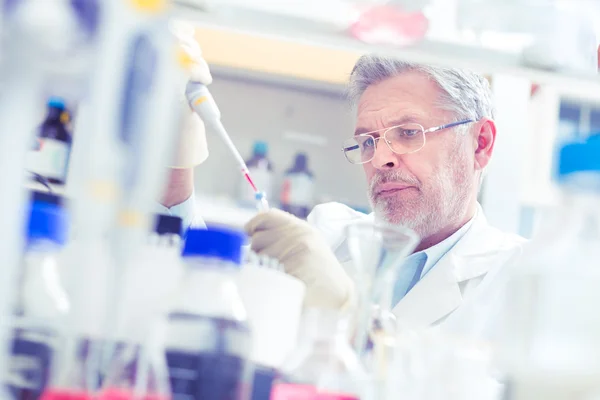 Cientista da vida pesquisando no laboratório. — Fotografia de Stock