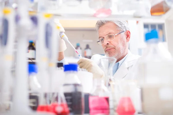 Cientista da vida pesquisando no laboratório. — Fotografia de Stock