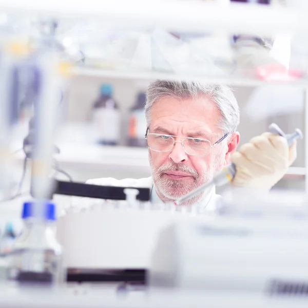 Científico de la vida investigando en el laboratorio. —  Fotos de Stock