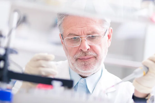 Life scientist researching in the laboratory. — Stock Photo, Image