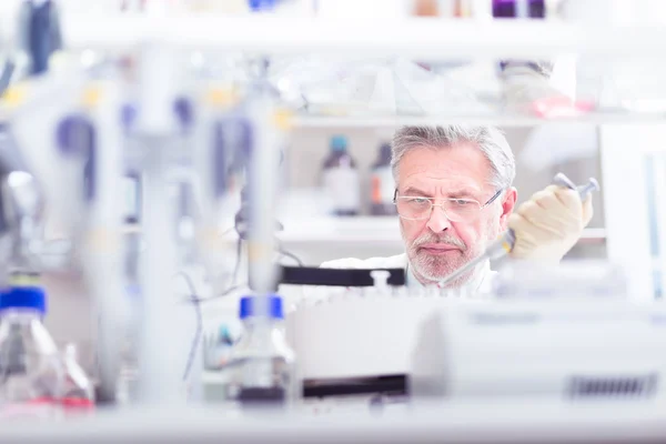 Científico de la vida investigando en el laboratorio. —  Fotos de Stock