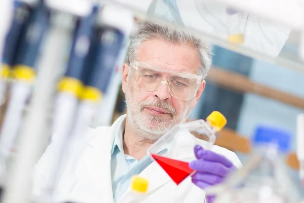 Científico de la vida investigando en el laboratorio. — Foto de Stock