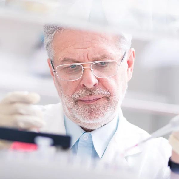 Life scientist researching in the laboratory. — Stock Photo, Image