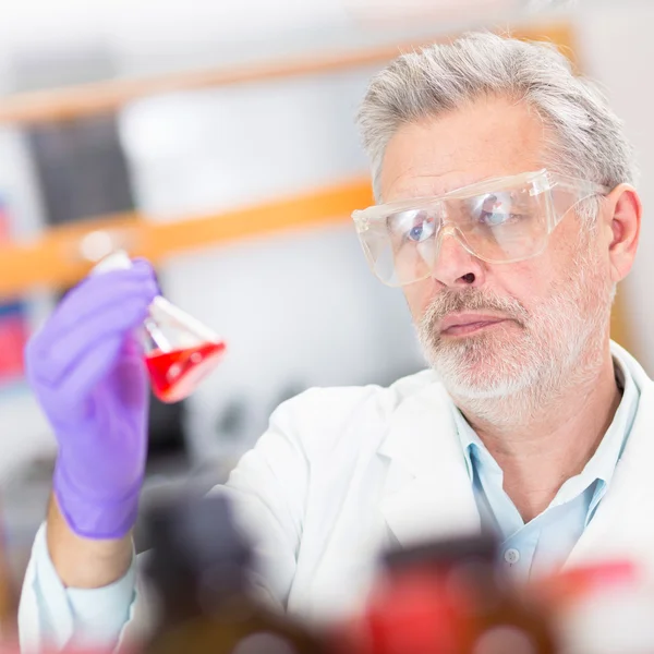 Científico de la vida investigando en el laboratorio. —  Fotos de Stock