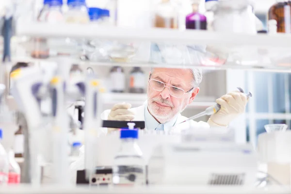 Científico de la vida investigando en el laboratorio. —  Fotos de Stock