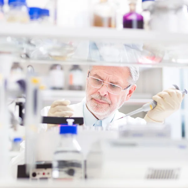 Científico de la vida investigando en el laboratorio. — Foto de Stock