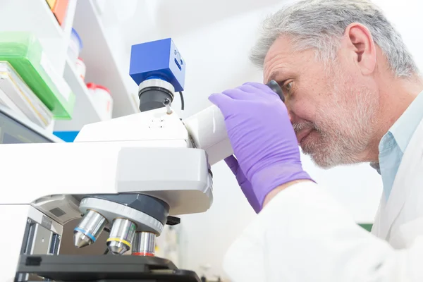 Microscoping di scienziati senior in laboratorio. — Foto Stock