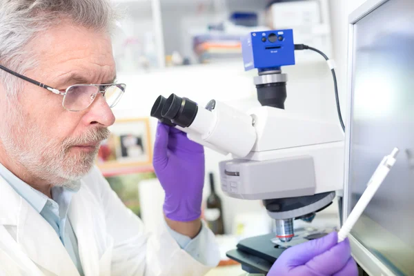 Microscopía científica senior en laboratorio. — Foto de Stock