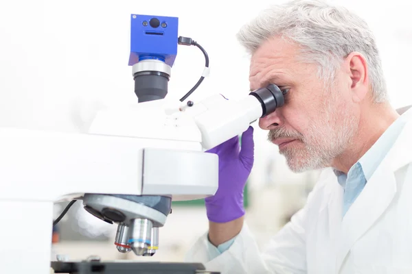 Laboratuvarda kıdemli bilim adamı mikroskop yapıyor.. — Stok fotoğraf
