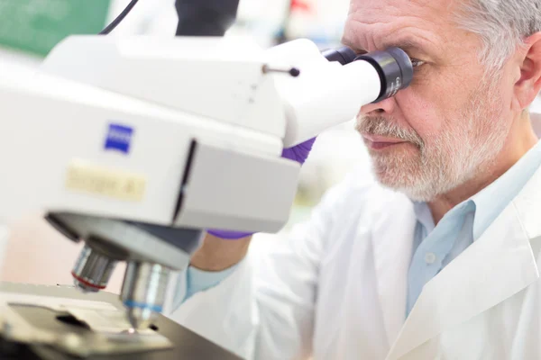 Senior scientist  microscoping in lab. — Stock Photo, Image