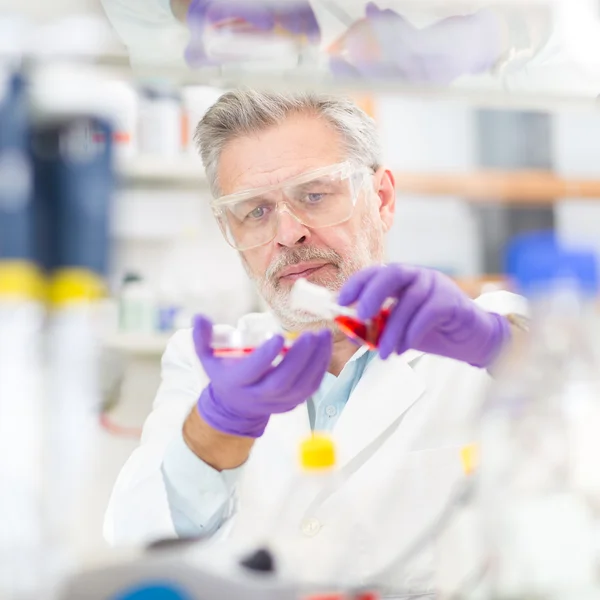 Life scientist researching in the laboratory. — Stock Photo, Image