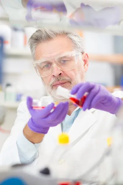 Científico de la vida investigando en el laboratorio. —  Fotos de Stock