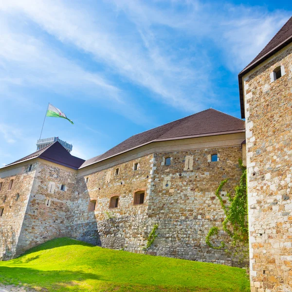 Ljubljana castle, Slovenia, Europe. — Stock Photo, Image