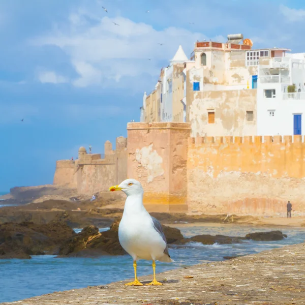 Essaouira - Magador, Marrakech, Morocco. — Stock Photo, Image