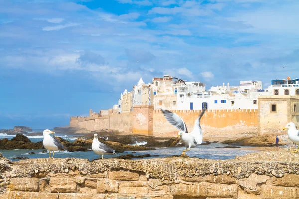 Essaouira - Magador, Marraquexe, Marrocos . — Fotografia de Stock